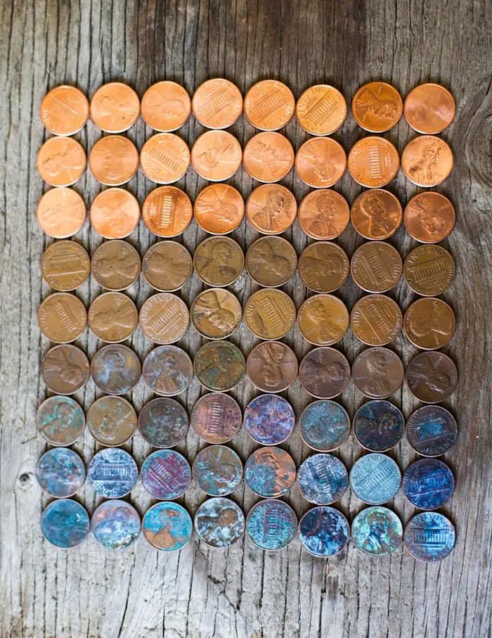 Pictures That Prove Time Changes Everything life cycle of a penny