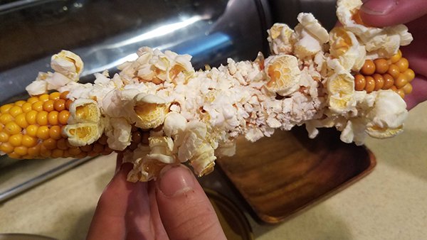 intriguing images popcorn on the cob