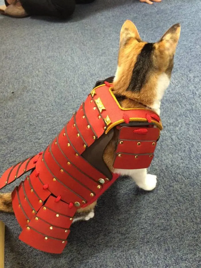 samurai armor for cats dogs cat in red armor