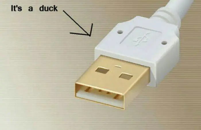 things you never noticed usb stick head is a duck