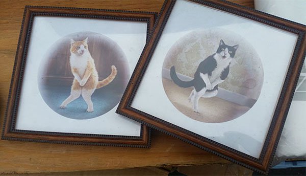 Best Things In Thrift Stores cat paintings