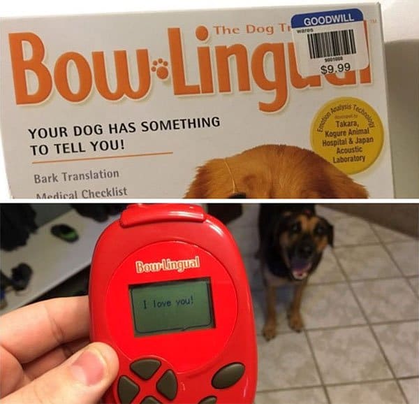 Best Things In Thrift Stores dog translator