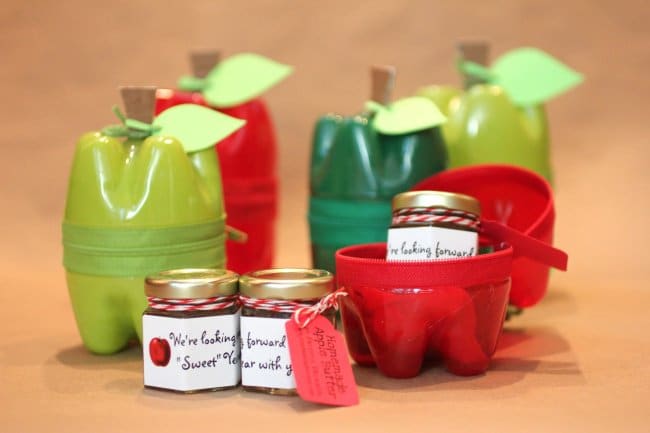 Bottle Project Ideas containers with zips