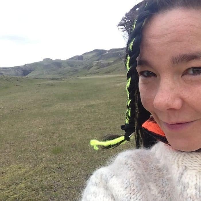 Celebrities Without Make Up bjork