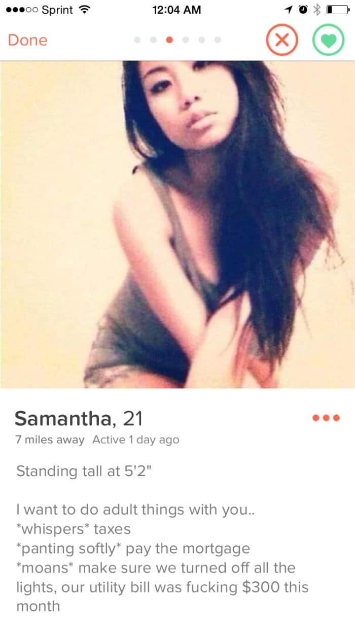 Funny Tinder Profiles i want to do adult things with you