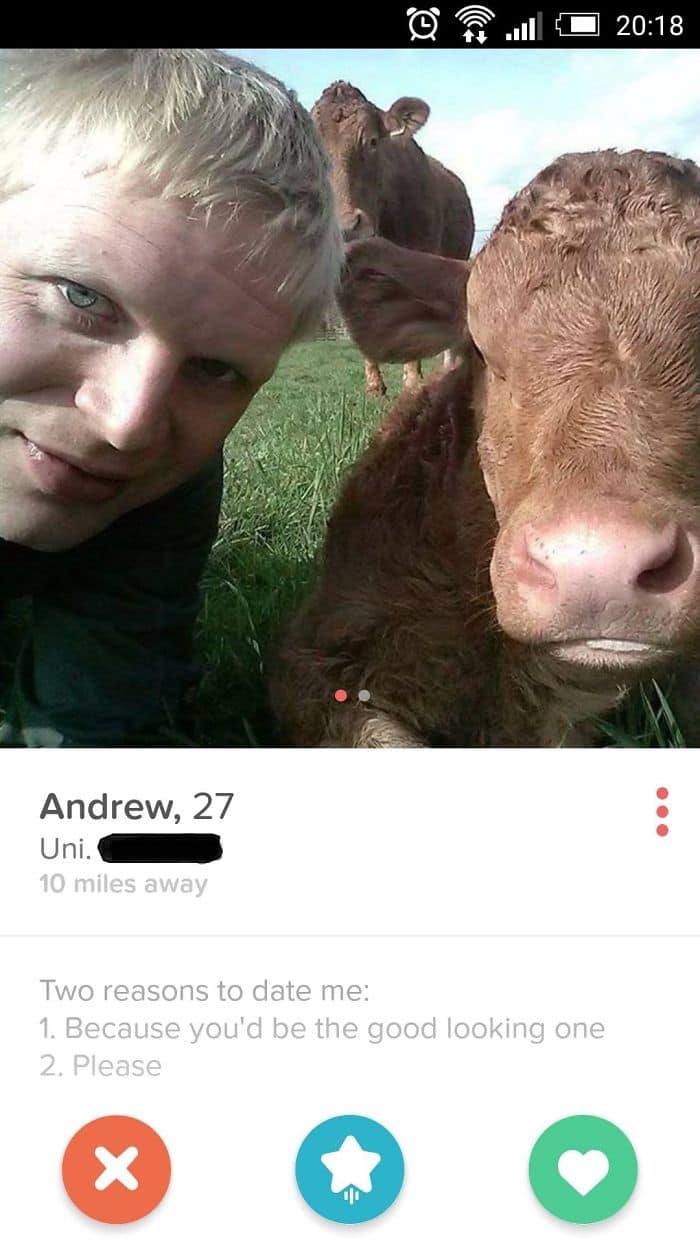 Funny Tinder Profiles youd be the good looking one