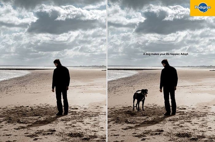 Genius Examples Of Advertising a dog makes your life happier pedigree