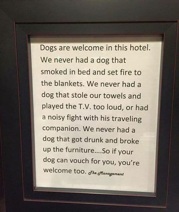 Genius Hotels dogs are welcome