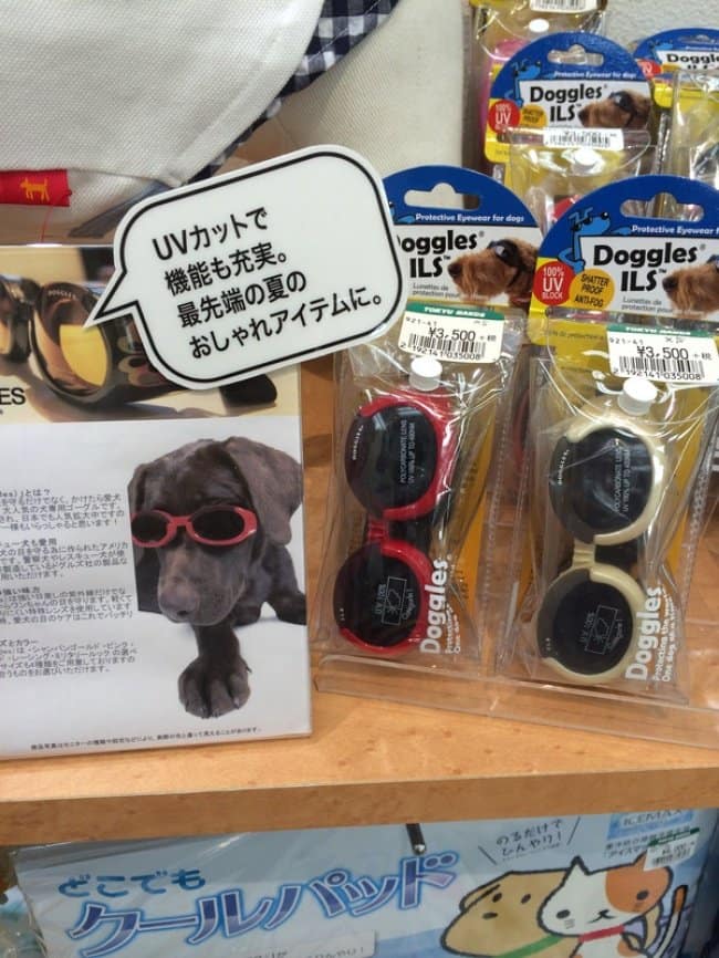 Genius Japanese Inventions sunglasses for dogs