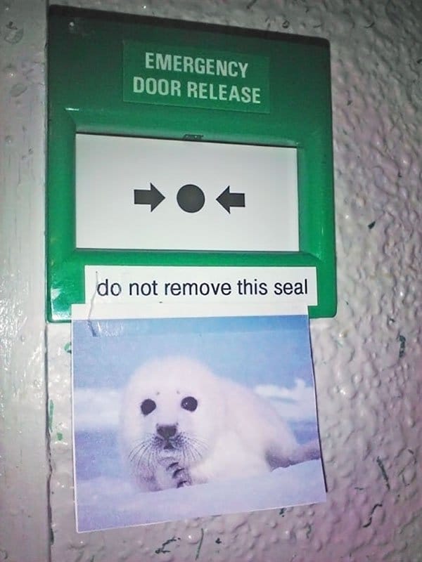 Genius Vandalism do not remove this seal