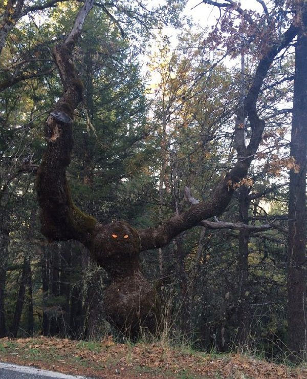 Genius Vandalism monster tree