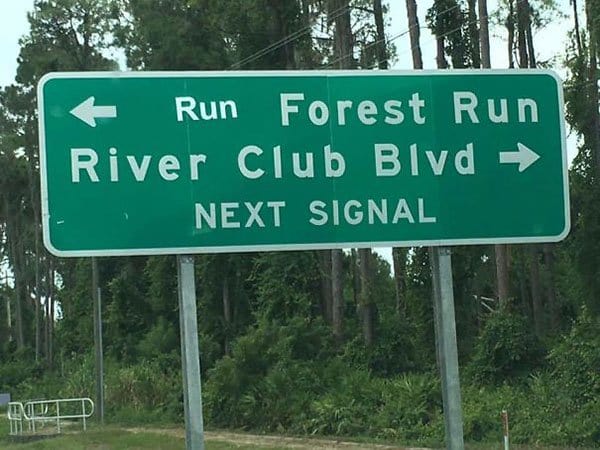 Genius Vandalism run forest run