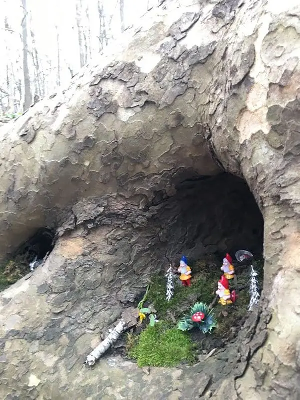 Genius Vandalism tree gnomes