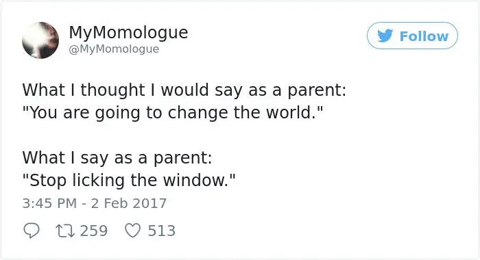 Hilarious Parenting Tweets stop licking the window