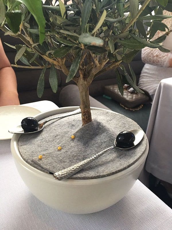 Hipster Restaurants Went Too Far With Food Serving olive served under a tree