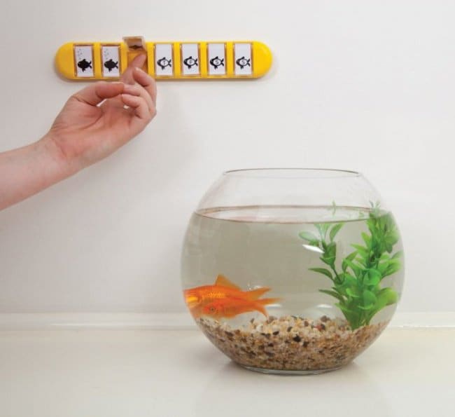 Incredibly Cool Inventions feeding fish calendar