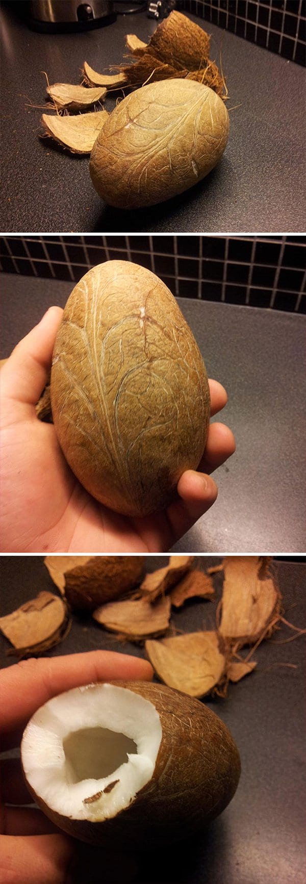 Pictures Of Peeled Fruit coconut