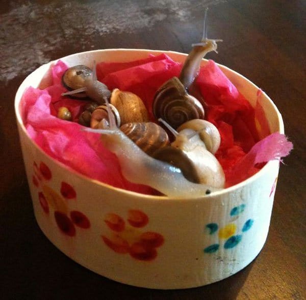 Times Kids Gave Innocent Gifts mothers day box of snails