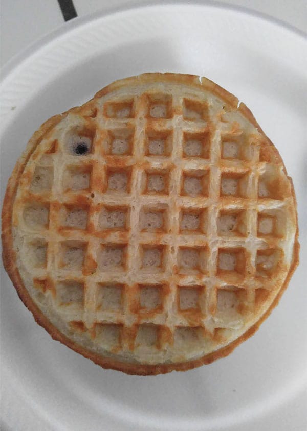 Times People Lost The Food Lottery blueberry waffle