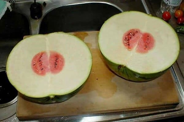 Times People Lost The Food Lottery fruitless watermelons