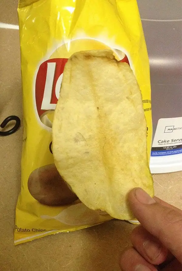 Times People Won The Food Lottery large potato chip