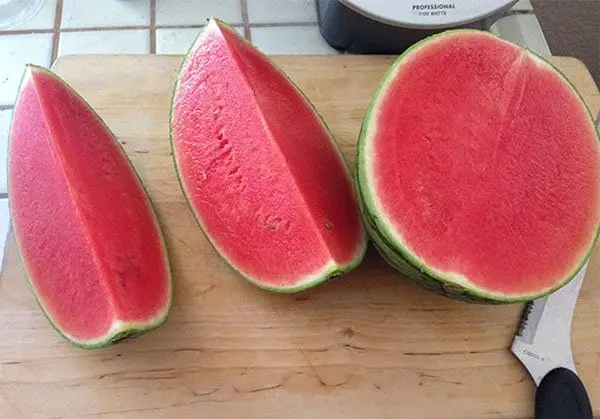 Times People Won The Food Lottery watermelon no rind