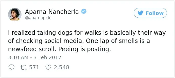Times Women Won The Internet walking dogs social media