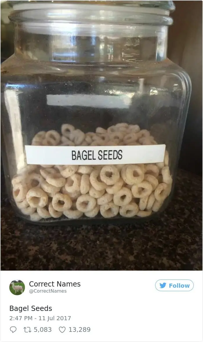 Twitter Account Renames Everyday Objects bagel seeds
