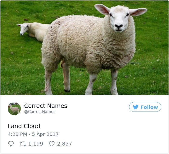 Twitter Account Renames Everyday Objects land cloud