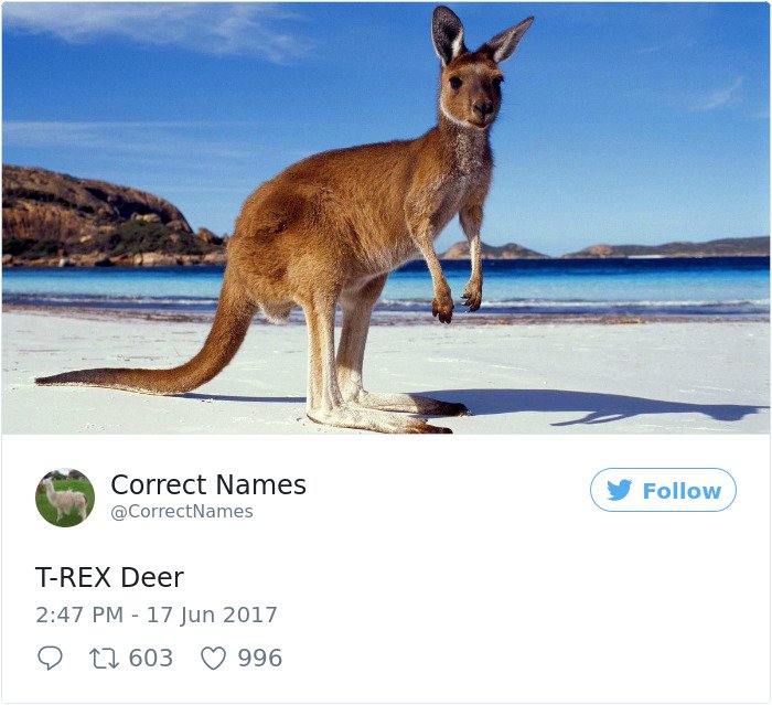 Twitter Account Renames Everyday Objects trex deer
