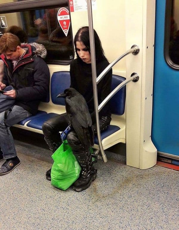 Weirdest People Ever Spotted On The Subway girl with raven