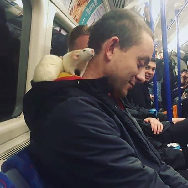 Weirdest People Ever Spotted On The Subway man with rats
