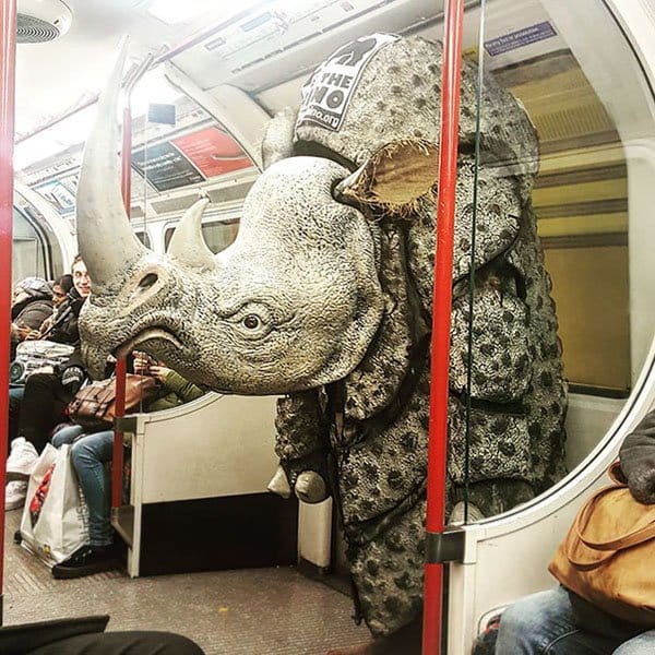 Weirdest People Ever Spotted On The Subway rhino