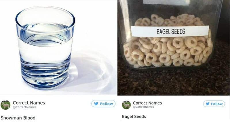 twitter-account-renames-everyday-objects