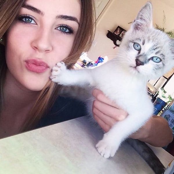 Cats Didn't Want To Be Involved In Selfies you can stop now