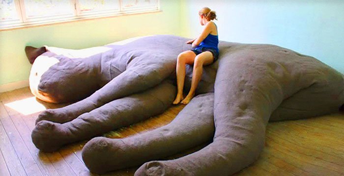 Creative And Comfy Looking Beds giant cat