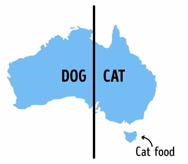 Photos That Will Make You Do A Double Take dog cat cat food map