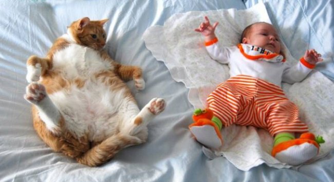 Photos That Will Make You Smile cat and baby similar poses