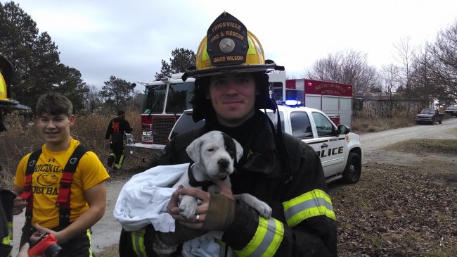 Photos That Will Make You Smile puppy rescued by firefighters