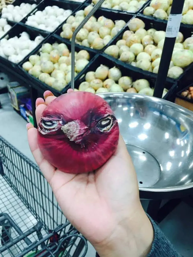 Times Something Strange Happened To Our Food angry birds onion