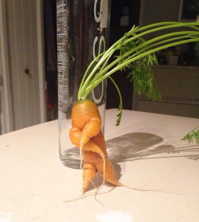 Times Something Strange Happened To Our Food breakdancing carrot