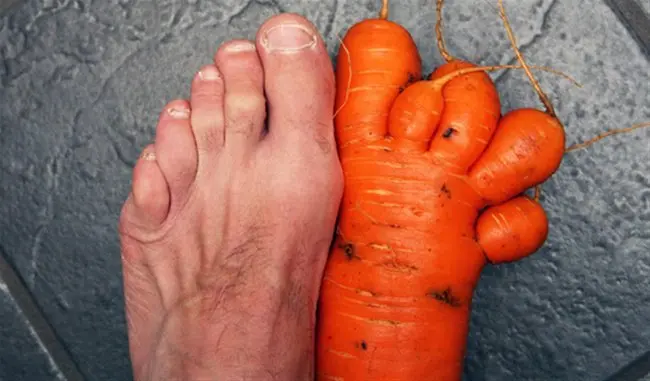 Times Something Strange Happened To Our Food carrot foot