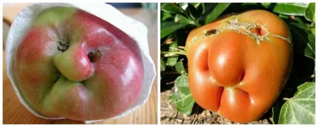 Times Something Strange Happened To Our Food fruit faces