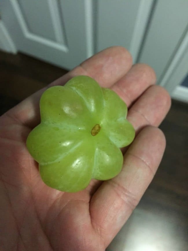 Times Something Strange Happened To Our Food super grape