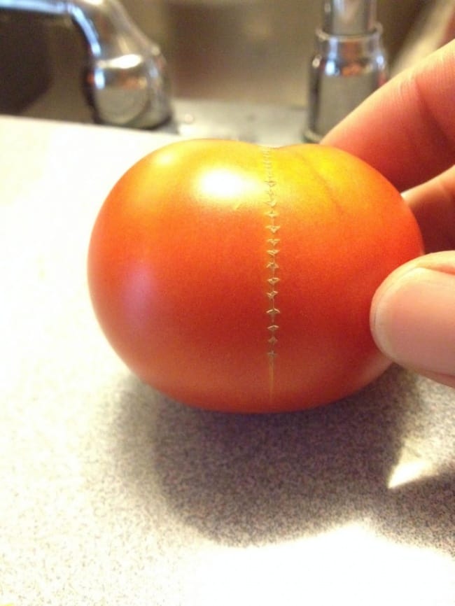 Times Something Strange Happened To Our Food tomato with zipper