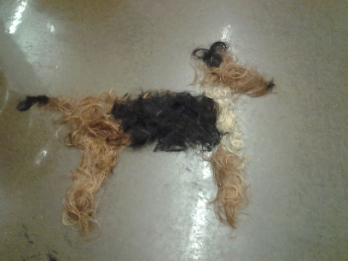 What Happens When People Get Bored At Work dog made out of hair