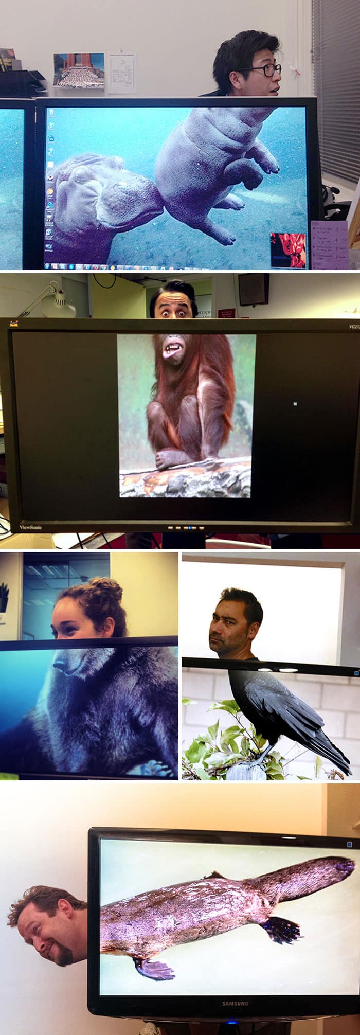 What Happens When People Get Bored At Work office safari