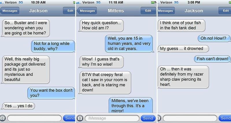 Amusing Images Showing What It Would Be Like If Cats Could Text