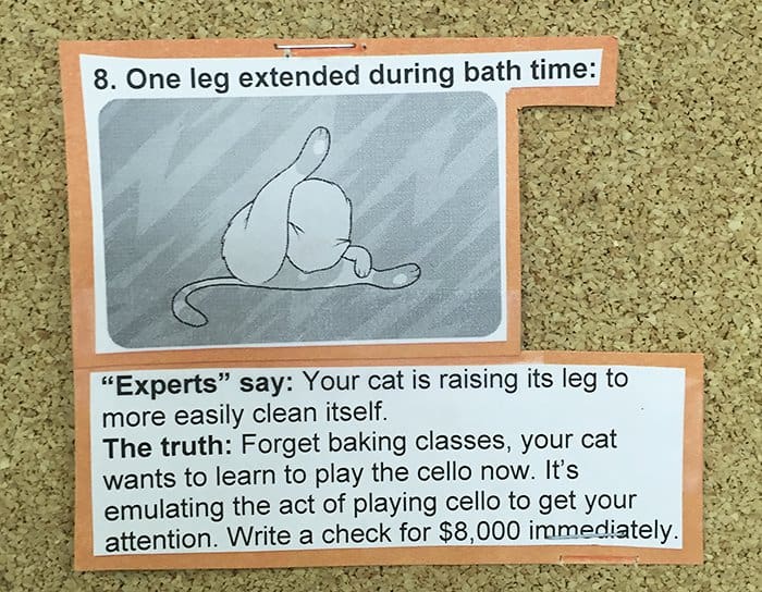 Common Cat Behaviors one leg extended during bath time