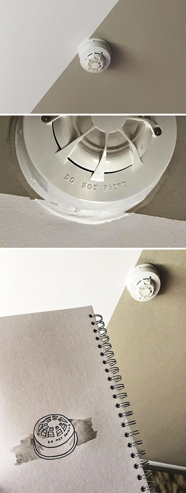 First World Anarchists do not paint smoke alarm